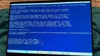 #333 Windows Vista BSOD