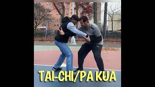 52BLOCKS:THE ART OF TAI-CHI/PA-KUA #lyteburly #52blocks #taichi 52BLOCKS:THE ART OF TAI-CHI/PA-KUA #lyteburly #52blocks #taichi