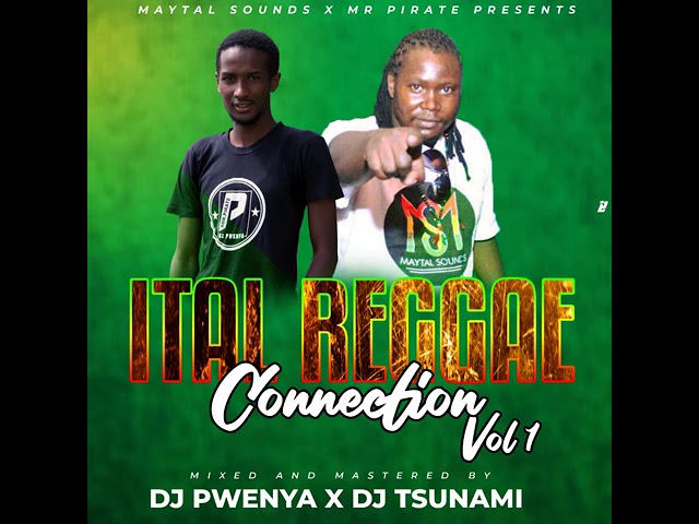 DJ TSUNAMI FT DJ PWENYA - ITAL REGGAE CONNECTION VOL 1 class=