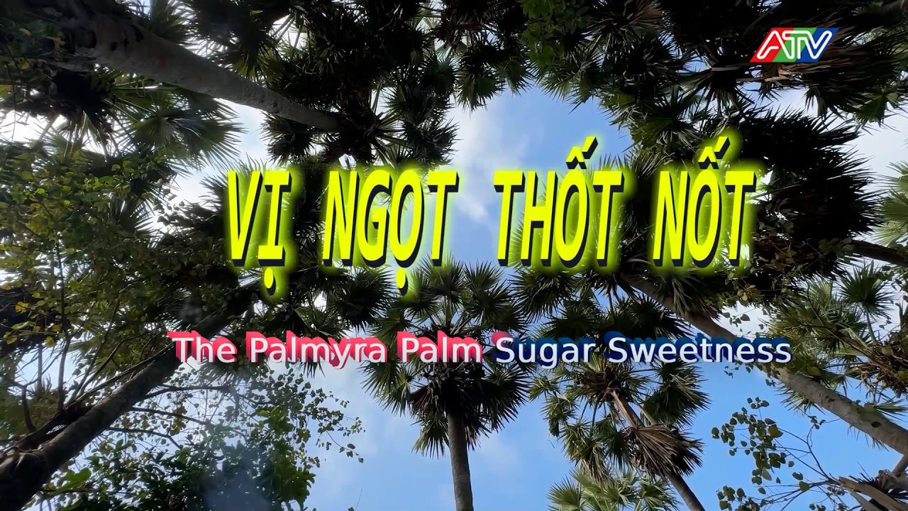 VỊ NGỌT THỐT NỐT (27/02/2026)