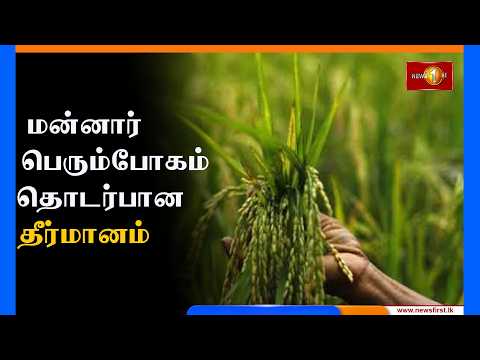 மன்னார் பெரும்போகம் தொடர்பான தீர்மானம் #mannar #lka #newsfirsttamil