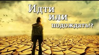 Мудрые притчи - МУДРАЯ ПРИТЧА О ЗНАНИЯХ