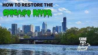 Note on Restoring the Chicago River & Bringing Back the Wildlife Real Nice via Crime Pays But Botany Doesn't