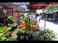 [4K] "Chatuchak Flower and Plant Market" walk from MRT station, Bangkok
