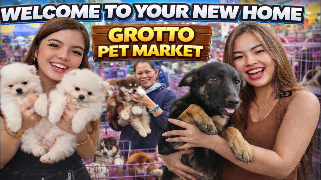 QUALITY MALAMUTE! SATISFIED CUSTOMER! Grotto Pet Market Dogs, Cats and Birds