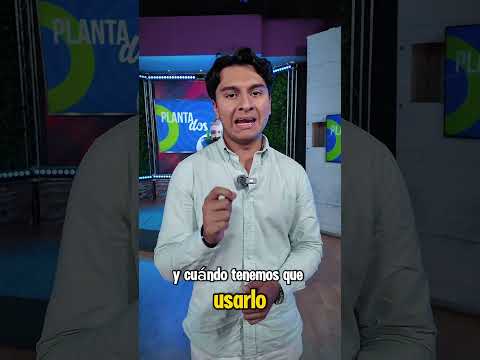 Las plagas en los cultivos pueden afectar seriamente la producción si no se detectan a tiempo.