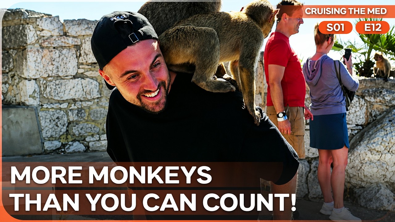 Documentary backdrop image for Wild Monkeys Chase Tourists on the Rock of Gibraltar (2026)