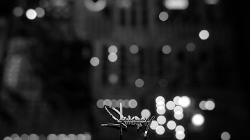 [roll100.rng:OST] Eurorack Modular Ambient Song Ft. Mutable Instruments Rings + Clouds