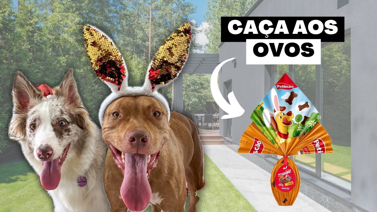 Desafio De Páscoa Pet | Caça Aos Ovos | Quem Saíra Vencedor?🐰