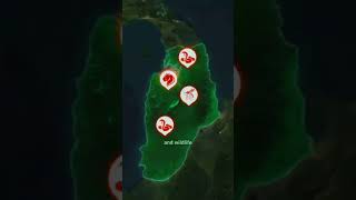 Live Stream. dinosaurs outbreak
