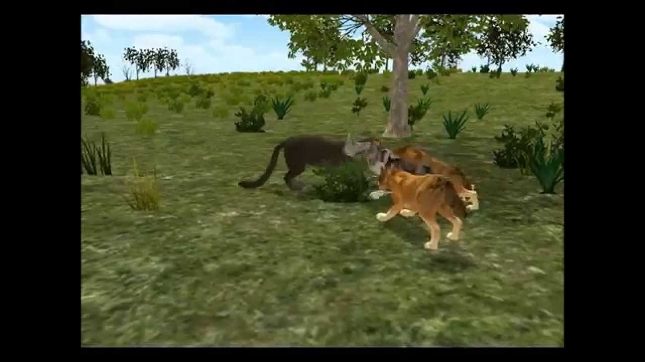 Спаривание с вуки. Untamed: Life of a cougar. Игры про спаривание животных. Спаривание в играх. Игры про животных в которых спариваются.