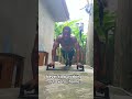 #fitneess #gymlife #motivationfitness #calisthenics #pushups