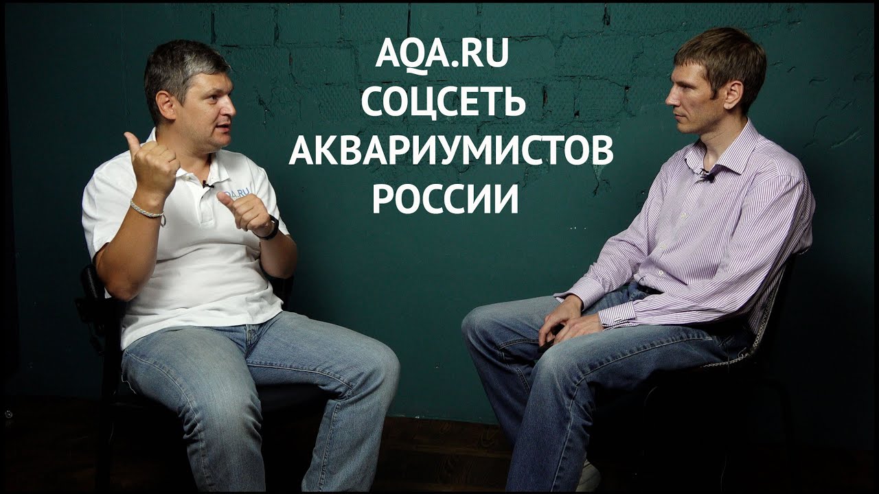 AQA.RU Соцсеть аквариумистов России аквариум песни