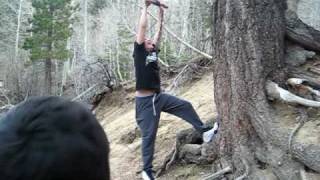 I do a faceplant on the tree