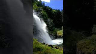 waterfall sounds with birds singingshortsvideo waterfallsounds birdssinging