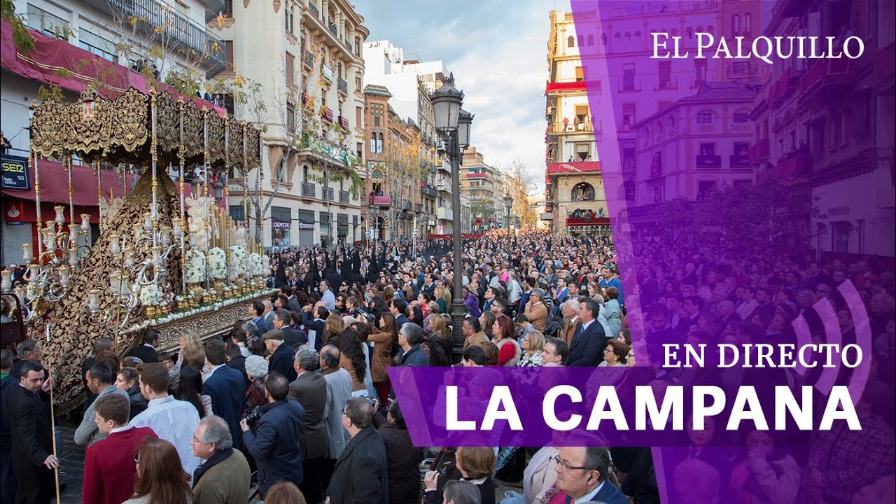 🔴 LUNES SANTO EN SEVILLA 2024 DIRECTO LA CAMPANA YouTube