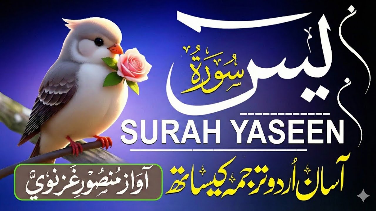 Surah Yasin سورت ياسين | Pregnant Mothers Must Lessons for Kids | Quran Ruqia for Your Upcoming Baby