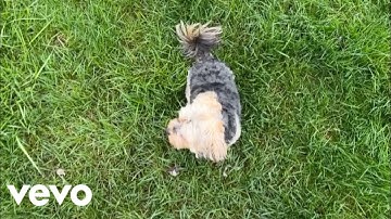 Sprinkles J- Bring it down (Official visualizer)