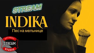 Пёс на мельнице, лягушки и цыган | INDIKA [STREAM]