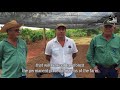 Black jaguar foundation meet our partner at fazenda santa f  marcos mariani english subtitles