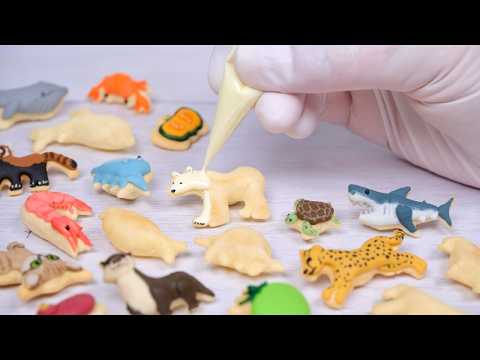 [Mini Edible Creatures Encyclopedia] We transformed Ototto into a colorful creature 🦁🦆🦈🦡🐙