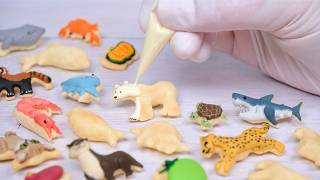 食べられる生き物図鑑!?おっとっとをカラフルにデコってみた