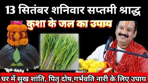 13 सितंबर श्राद्ध पक्ष शनिवार सप्तमी उपाय। कुशा के जल का उपाय