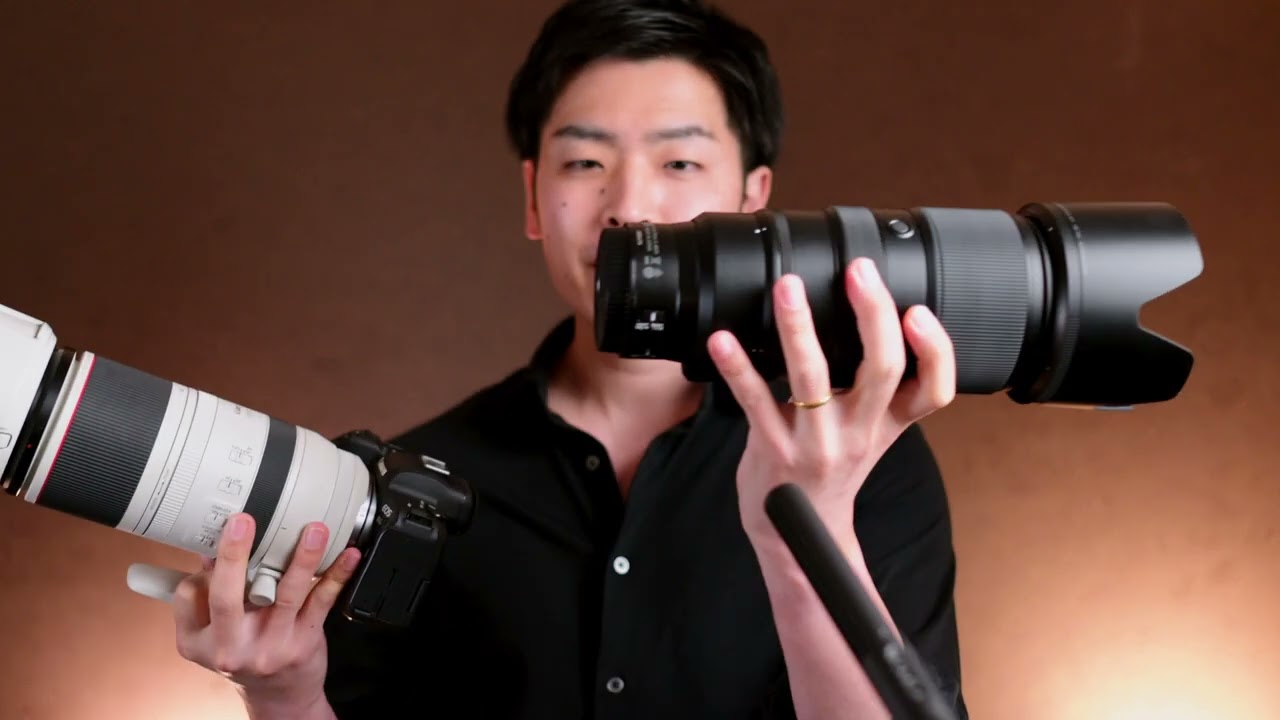 Nikon Z100‐400とCanon RF100‐500を使ってみた感想