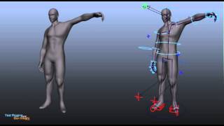 Test rigging and skin weight with Maya 2013
