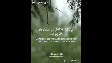 سورة فاطر شيخ ادريس ابكر// Surah Fatir By Sheikh Idress Abkar