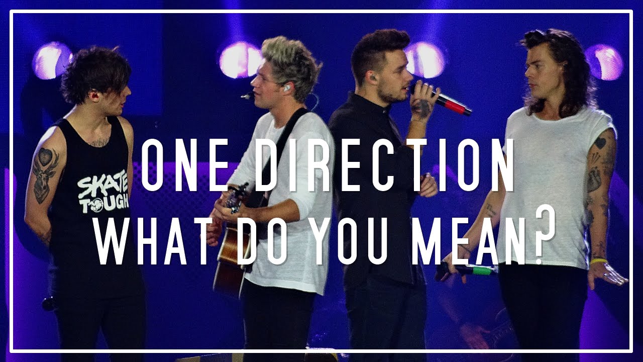 One Direction | What do you mean?