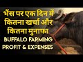 भैंस पर एक दिन में कितना खर्चा और कितना मुनाफा | Buffalo farming profit in India