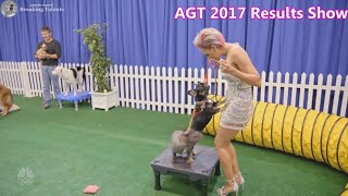 Celebrity Finals AGT Judges Get into Dog Training with Sara & Hero - America's Got Talent 2017 Finale Results Net Worth