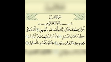 قران كريم سورة الفيل بصوت القارئ هزاع البلوشي
