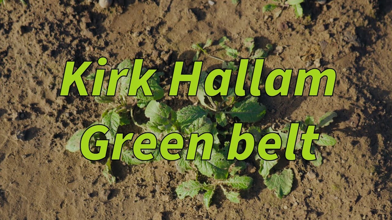 Kirk Hallam Green Belt