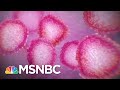 How To Protect Yourself As The Covid Pandemic Gets Worse | The 11th Hour | MSNBC