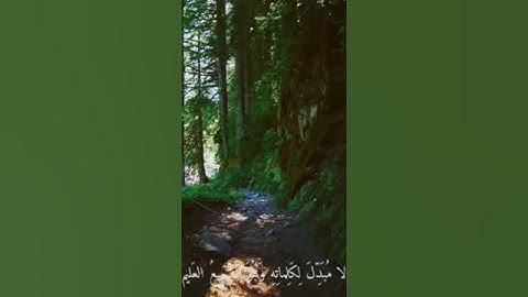 أفغير الله أبتغي حكماً سورة الأنعام #القرآن_الكريم ماهر المعيقلي