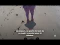 Niña se pierde en playa de Indian Rocks Beach, Florida, y así fue el momento en que la encontraron