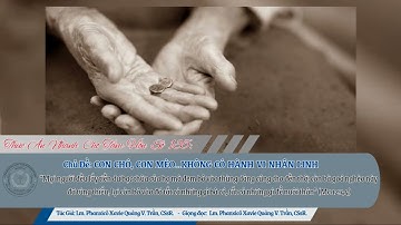 Số _135_CON CHÓ, CON MÈO,TUY DỄ THƯƠNG, ĐẸP, NHƯNG KHÔNG CÓ HÀNH VI NHÂN LINH_Lm PX.Quảng Trần, CSsR