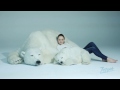 Animals As Art / Polar Bear