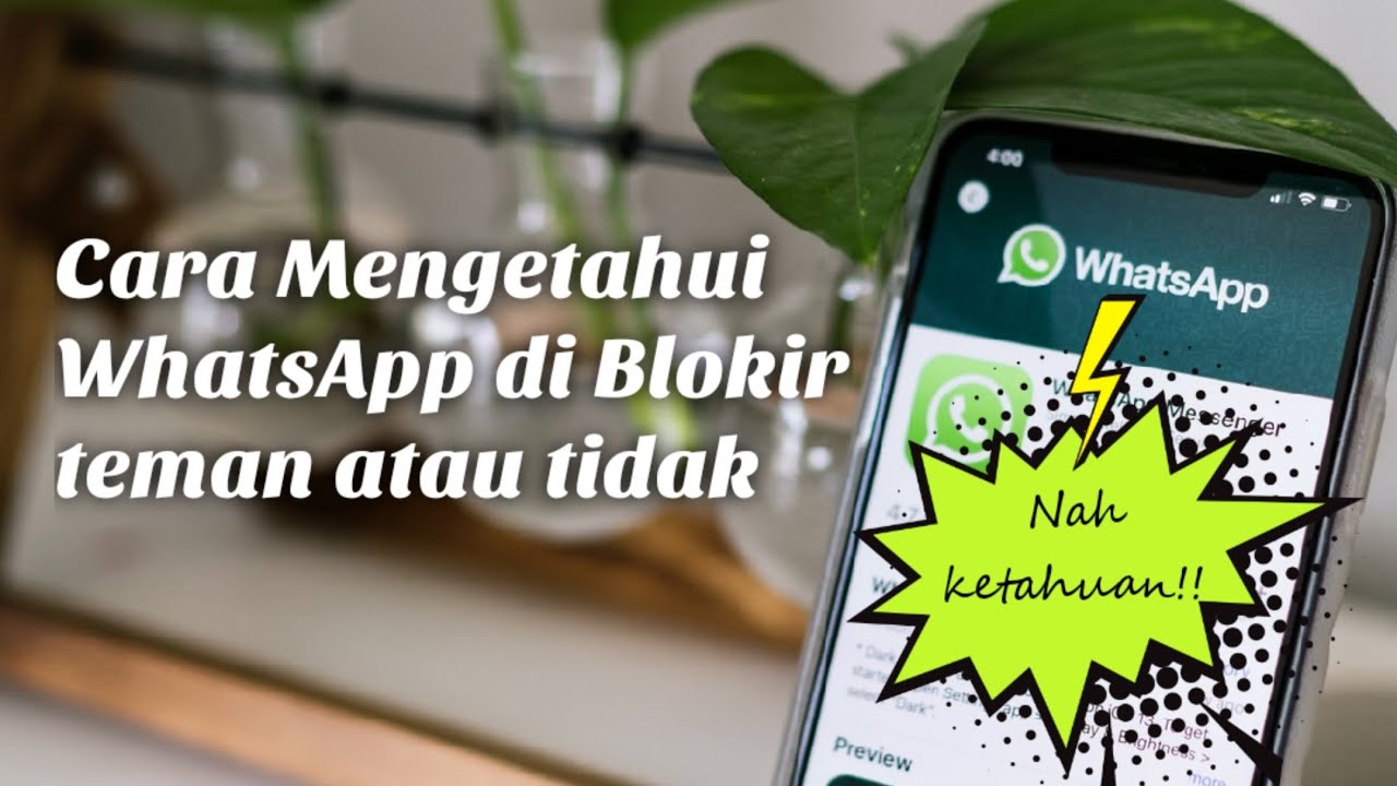 Cara mengetahui apakah WA diblokir teman atau tidak || Tips trik