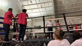 Show Fight In Waterford MI (1)