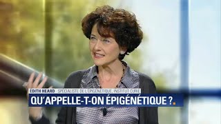 Chronique santé : l’épigénétique, c’est quoi ?