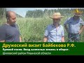 Ввод залежных земель  в сельхозоборот. Прямой посев. Рязанская область.