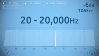 20 - 20,000 Hz Audio Sweep | Range of Human Hearing