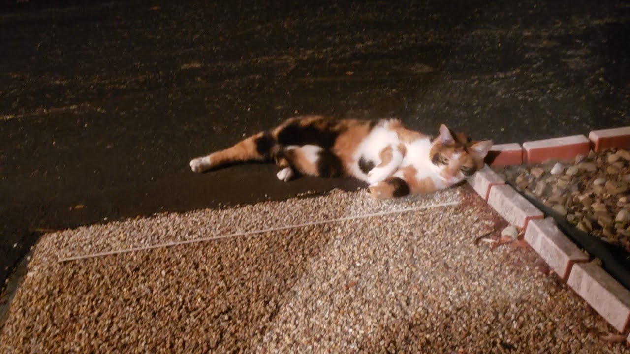 Моменты из 2025 года