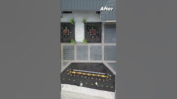 Join us on a journey of incredible transformations