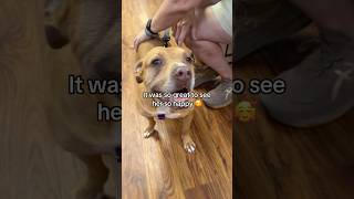 Sweetie, a longterm shelter resident of 3 years, visited our vet clinic for her annual exam!