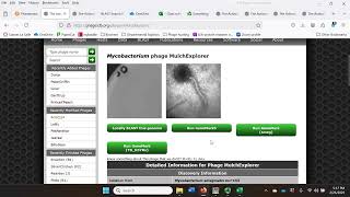 Phage gene start site annotation.  MulchExplorer_3 annotation demo Part 1 (blue questions)
