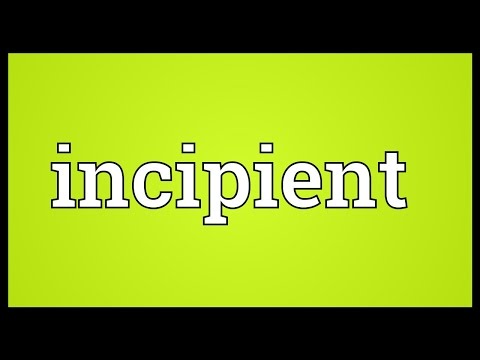 Incipient Meaning
